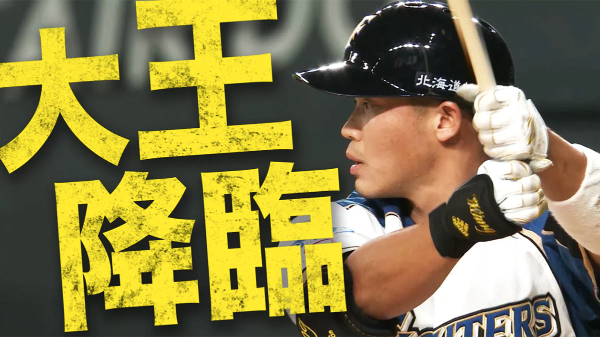 王柏融（C）PLM