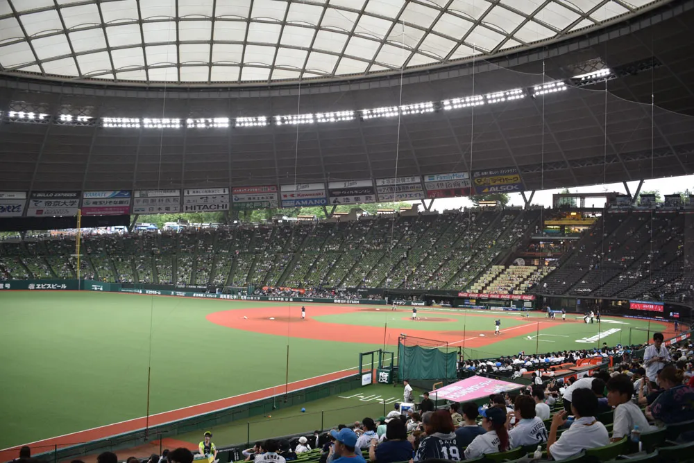 ライオンズ内野指定席Bからの景色 ©PLM