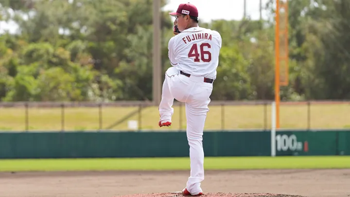 東北楽天が完封負け　藤平尚真は1イニングを6球で3者凡退