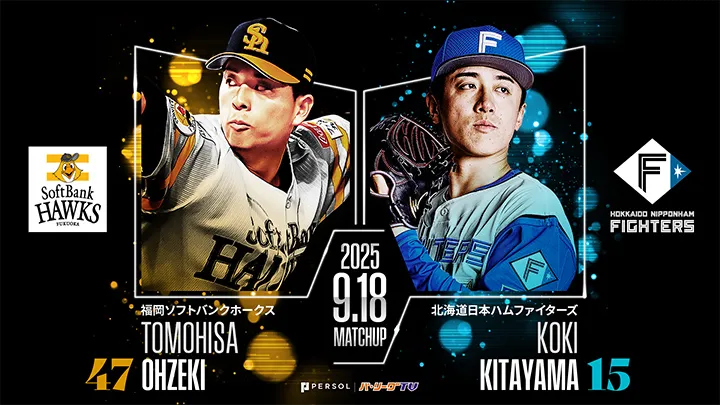 希少！　SoftBankHAWKSソフトバンクホークス　スタジャン　野球　応援 希少！ SoftBankHAWKSソフトバンクホークス スタジャン 野球