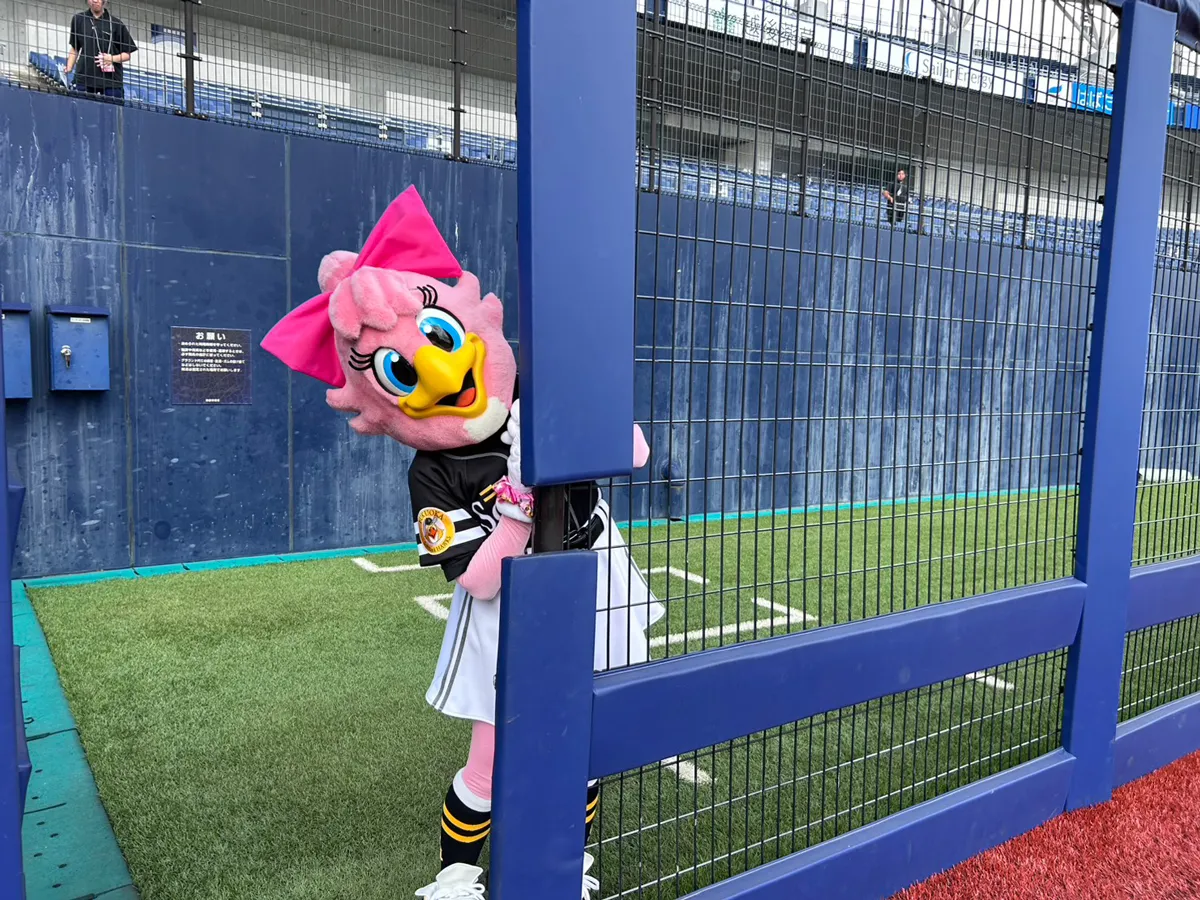 「HARD OFF ECOスタジアム新潟のブルペンです!いつか投球お披露目できますように、、」(写真提供:ハニーホーク)
